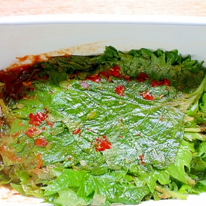 豆板醤で 大葉 しその葉 のキムチ風 レシピ 作り方 By みー5548 楽天レシピ 豆板醤で 大葉 しその葉 のキムチ風 レシピ 作り方 By みー5548 楽天レシピ